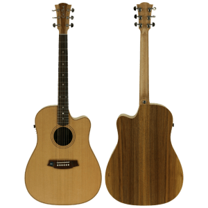 Cole Clark CCFL2EC-CB – Cedar Top with Blackwood Back and Sides With Hard Case at Anthony's Music Retail, Music Lesson and Repair NSW