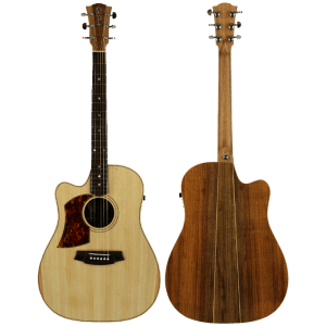 Cole Clark CCFL2EC-LH-BB – Left Handed – Bunya Top with Tasmanian Blackwood Back and Sides With Hard Case at Anthony's Music Retail, Music Lesson and Repair NSW