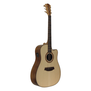 Cole Clark CCTalisman II With Hard Case at Anthony's Music Retail, Music Lesson and Repair NSW