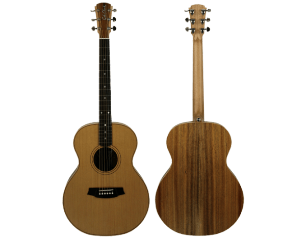 Cole Clark AN2-CB – Cedar Top with Blackwood Back and Sides at Anthony's Music Retail, Music Lesson and Repair NSW