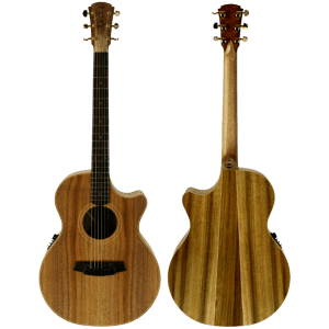 Cole Clark CCAN2EC-BLBL – Australian Blackwood top, back and sides With Hard Case at Anthony's Music Retail, Music Lesson and Repair NSW