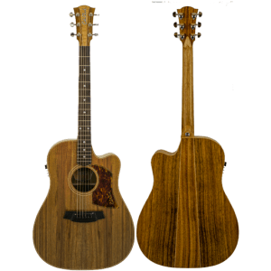 Cole Clark CCFL2EC-BLBLR Fat Lady Australian Blackwood Top Back and Sides w/Hard Case at Anthony's Music Retail, Music Lesson and Repair NSW