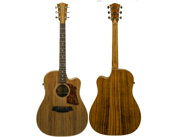Cole Clark CCFL2EC-BLBL – Australian Blackwood Top, Back and Sides With Hard Case at Anthony's Music Retail, Music Lesson and Repair NSW