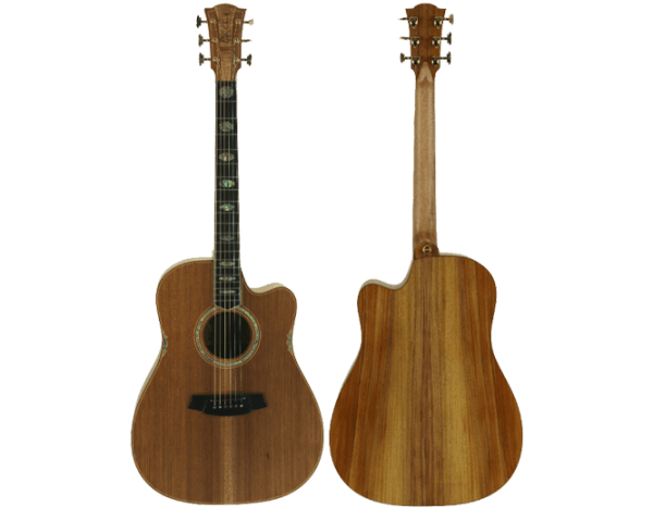 Cole Clark FL3EC-BLBL Blackwood Top with Blackwood Back and Sides at Anthony's Music Retail, Music Lesson and Repair NSW