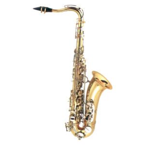 Fontaine FBW325 Tenor Saxophone in Bb With Case at Anthony's Music - Retail, Music Lesson & Repair NSW 