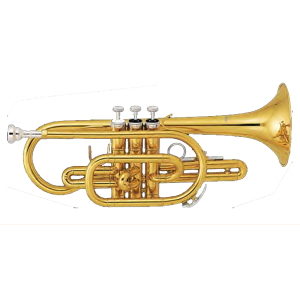 Fontaine Bb Cornet FBW465 at Anthony's Music Retail, Music Lesson and Repair NSW