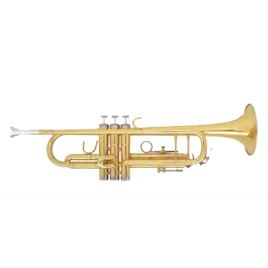 Fontaine Bb Trumpet FBW404 at Anthony's Music Retail, Music Lesson and Repair NSW