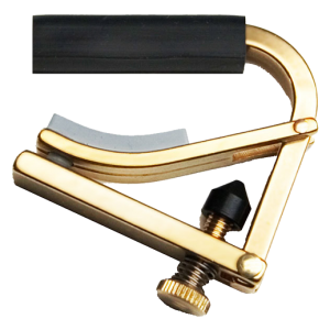 Shubb C5 Standard Banjo Capo Brass at Anthony's Music Retail, Music Lesson and Repair NSW