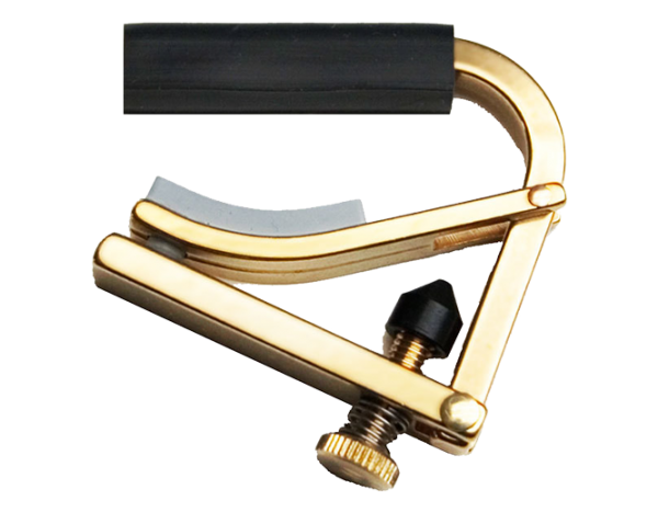 Shubb C5 Standard Banjo Capo Brass at Anthony's Music Retail, Music Lesson and Repair NSW