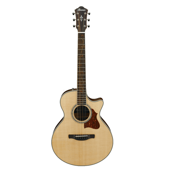 Ibanez AE205JR OPN Acoustic Guitar w/Bag at Anthony's Music Retail, Music Lesson and Repair NSW