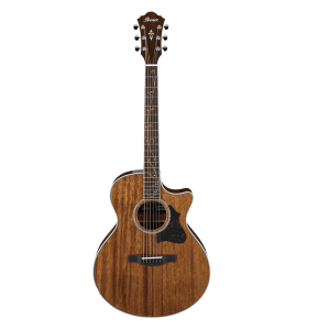 Ibanez AE245 NT Acoustic Guitar at Anthony's Music Retail, Music Lesson and Repair NSW