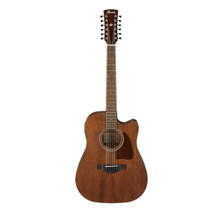 Ibanez AW5412CE OPN Artwood Acoustic Guitar 12 String at Anthony's Music Retail, Music Lesson and Repair NSW