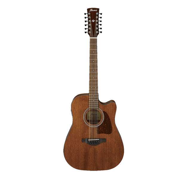 Ibanez AW5412CE OPN Artwood Acoustic Guitar 12 String at Anthony's Music Retail, Music Lesson and Repair NSW