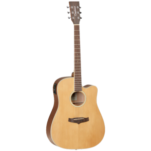 Tanglewood TW10 Winterleaf Dreadnought Acoustic Guitar at Anthony's Music Retail, Music Lesson and Repair NSW