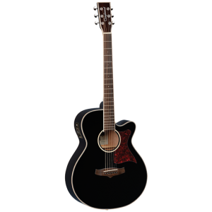 Tanglewood TW4BK Winterleaf Super Folk Acoustic Guitar at Anthony's Music Retail, Music Lesson and Repair NSW