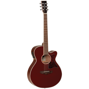 Tanglewood TW4WR WInterleaf Super Folk Acoustic Guitar at Anthony's Music Retail, Music Lesson and Repair NSW