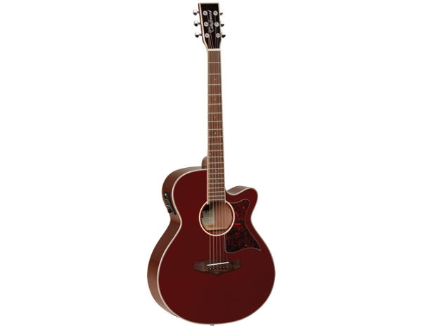 Tanglewood TW4WR WInterleaf Super Folk Acoustic Guitar at Anthony's Music Retail, Music Lesson and Repair NSW