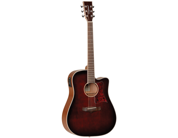 Tanglewood TW5WB Winterleaf Solid Top Dreadnought Acoustic Guitar at Anthony's Music Retail, Music Lesson and Repair NSW