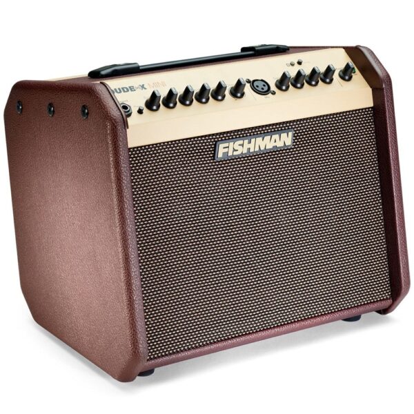 Fishman Loudbox Mini with Bluetooth Acoustic Guitar Amplifier w/ Reverb & Chorus at Anthony's Music - Retail, Music Lesson and Repair NSW
