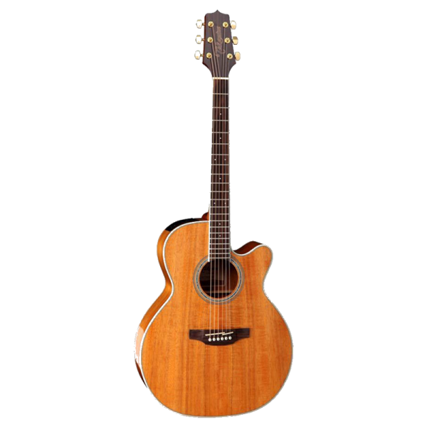 Takamine TGN77KCENAT Series Nex AC/EL Guitar With Cutaway at Anthony's Music Retail, Music Lesson and Repair NSW
