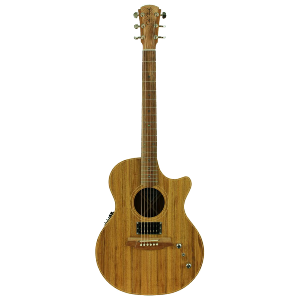 Cole Clark CCAN2EC-BLBL-HUM – AN Grand Auditorium Acoustic Electric Guitar w/Humbucker – Blackwood at Anthony's Music Retail, Music Lesson and Repair NSW