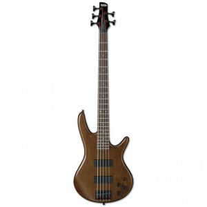 Ibanez SR205B WNF Electric 5 String Bass at Anthony's Music Retail, Music Lesson and Repair NSW