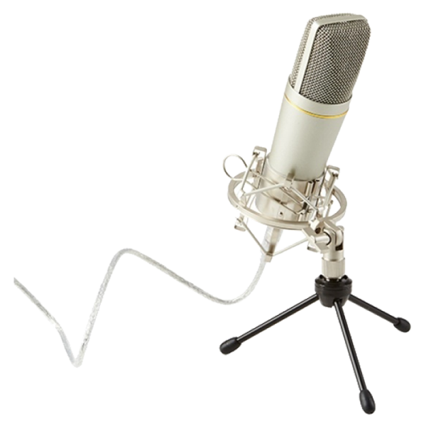Ashton UM88 USB Studio Condenser Microphone at Anthony's Music Retail, Music Lesson and Repair NSW