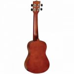 Tanglewood TUTCPNAT Concert Ukulele Pack Natural  at Anthony's Music Retail, Music Lesson and Repair NSW