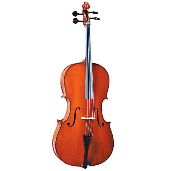 Valencia SV764 4/4 Full Size Cello w/ Gig Bag  at Anthony's Music - Retail, Music Lesson and Repair NSW
