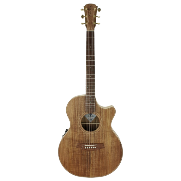 Cole Clark CCTL2EC-BLBL Thinline Grand Auditorium All Blackwood w/ Case at Anthony's Music - Retail, Music Lesson and Repair NSW