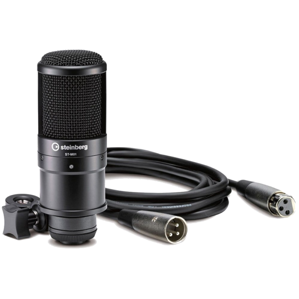 Steinberg UR22MKII Recording Pack w/ Interface, Microphone, Headphones And Includes Cubase LE at Anthony's Music - Retail, Music Lesson & Repair NSW 