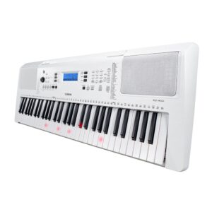 Yamaha EZ300 61 Key Light Up Digital Keyboard w/ Stand at Anthony's Music - Retail, Music Lesson & Repair NSW 