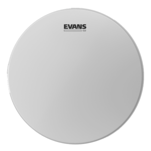 Evans B10G2 10″ Gen G2 CTD at Anthony's Music - Retail, Music Lesson & Repair NSW 