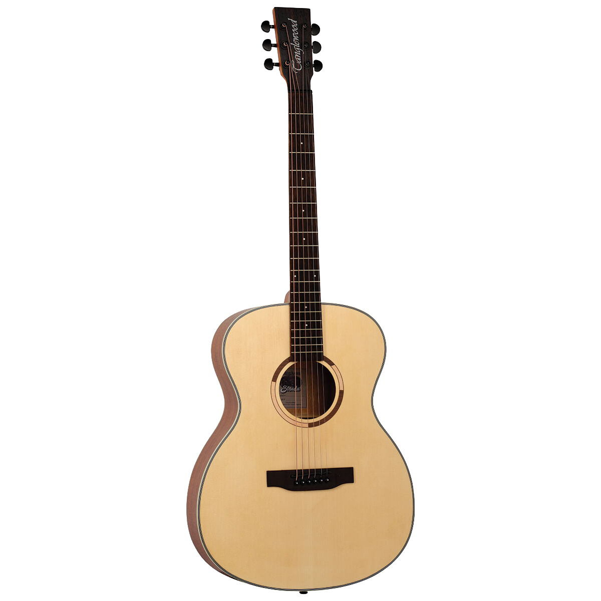 Tanglewood Strada TS5 Dreadnought Mahogany Back Sides Spruce Top 2